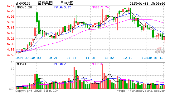 盛泰集团