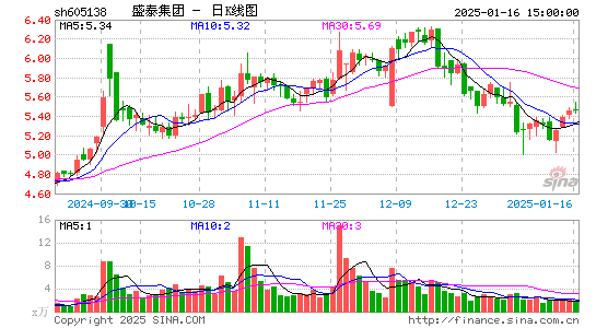 盛泰集团