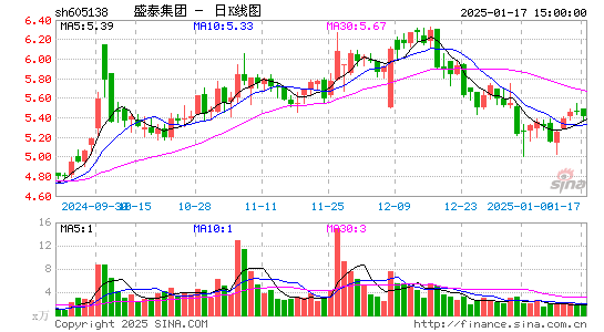 盛泰集团