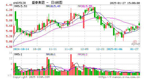 盛泰集团