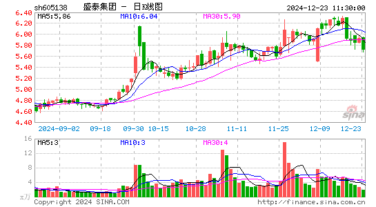 盛泰集团