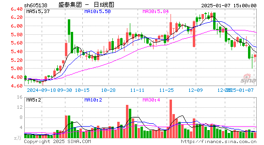 盛泰集团