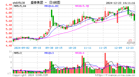 盛泰集团