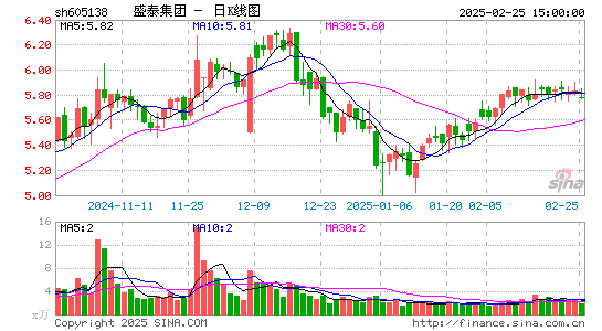 盛泰集团