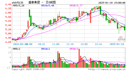 盛泰集团