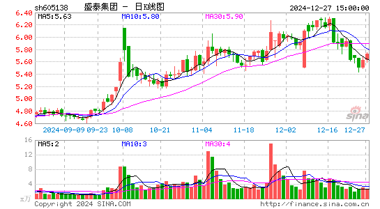 盛泰集团