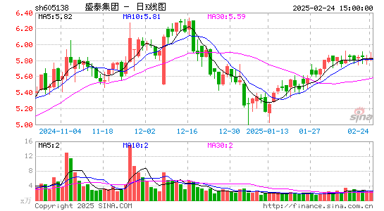 盛泰集团