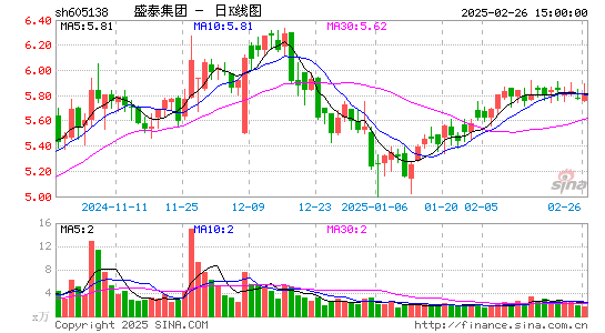 盛泰集团