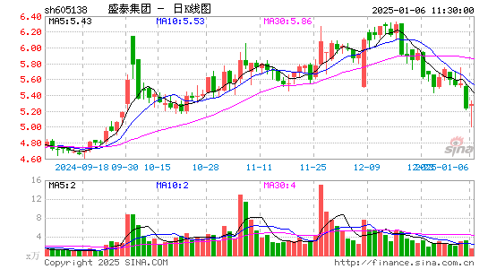 盛泰集团