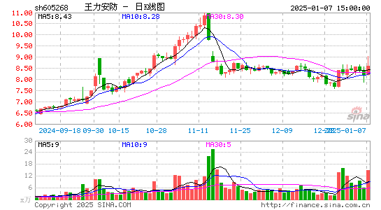 王力安防