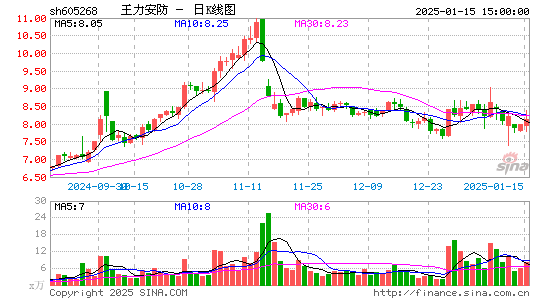 王力安防