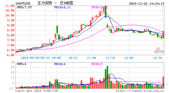 王力安防