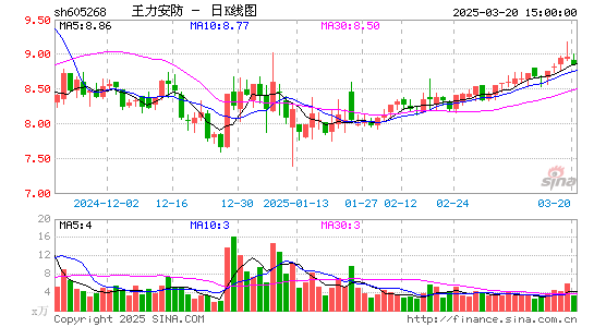 王力安防