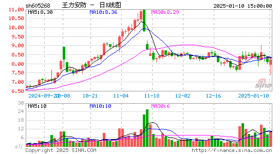 王力安防