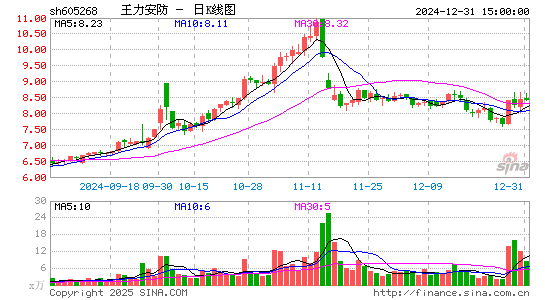 王力安防