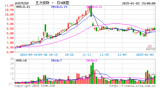 王力安防