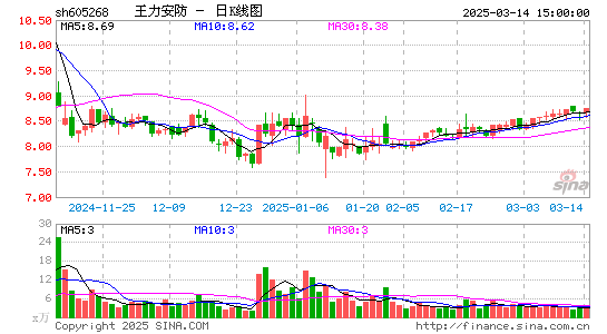 王力安防