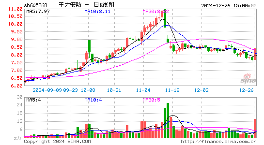 王力安防