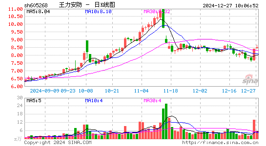 王力安防