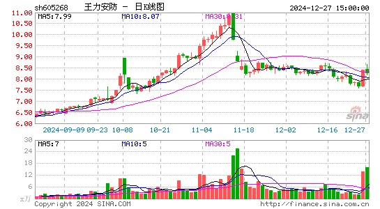 王力安防