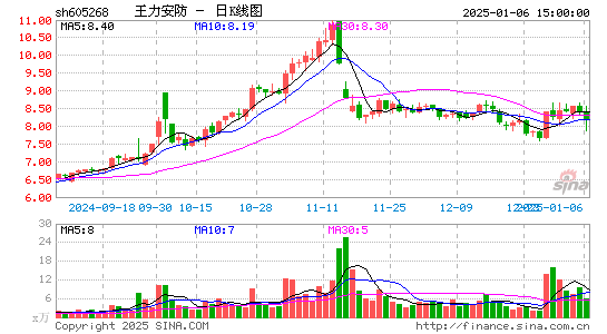 王力安防