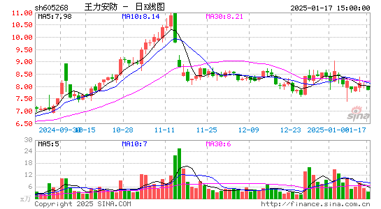 王力安防