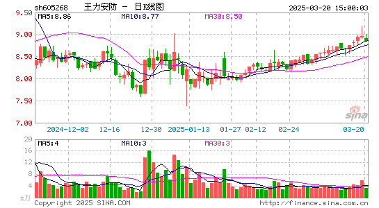 王力安防