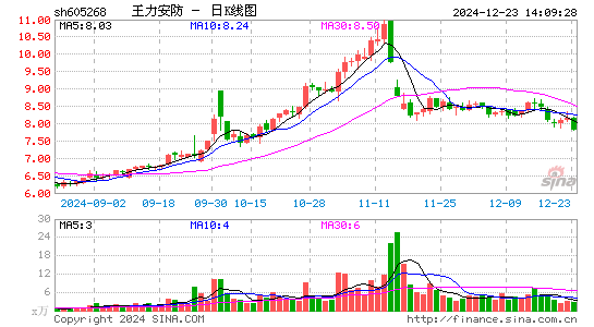 王力安防