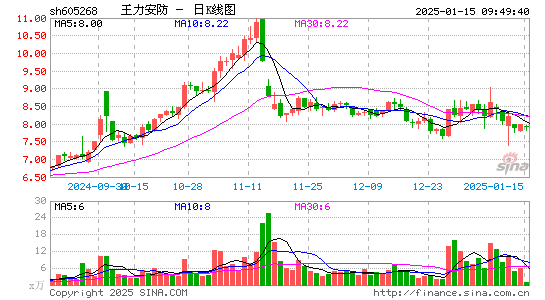 王力安防