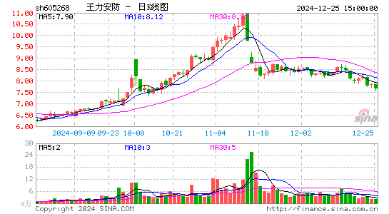 王力安防