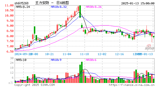 王力安防