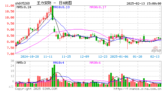 王力安防