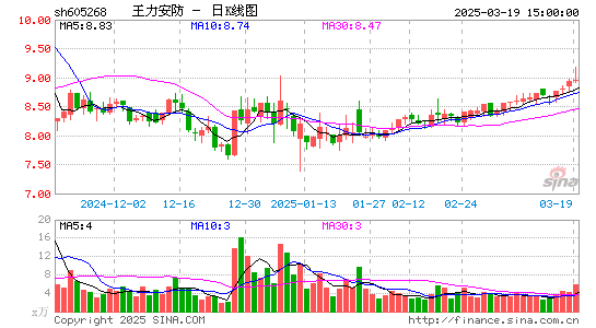 王力安防