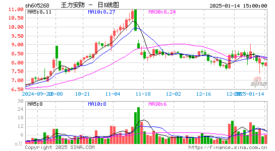 王力安防