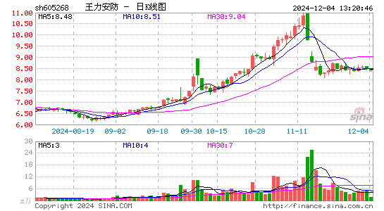 王力安防