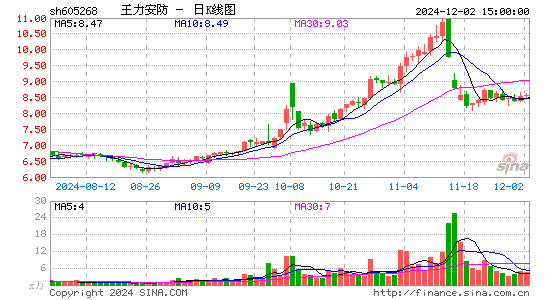 王力安防