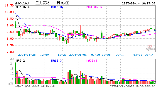 王力安防