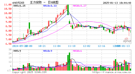 王力安防