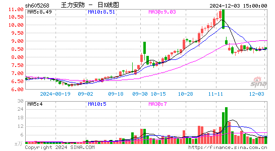 王力安防