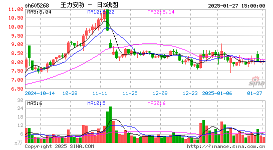 王力安防