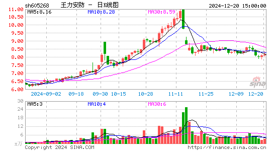 王力安防