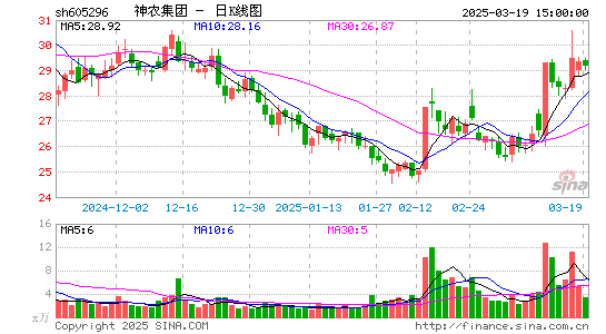 神农集团