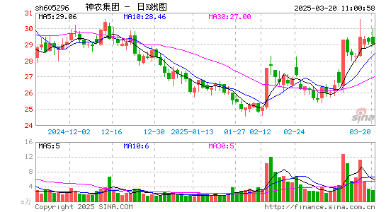 神农集团