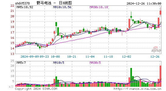 野马电池