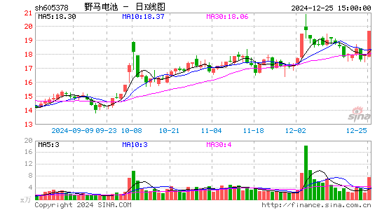 野马电池