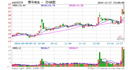 野马电池