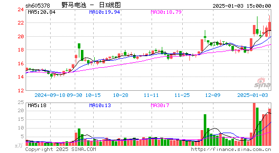 野马电池