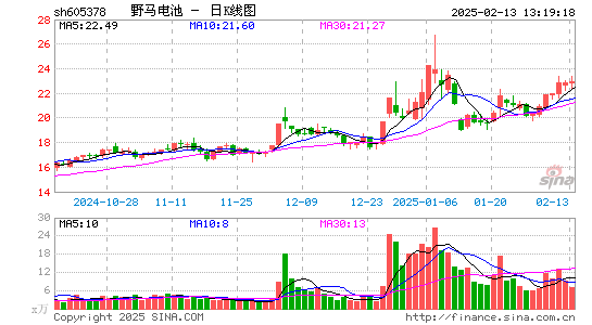 野马电池