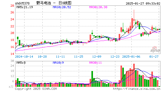 野马电池