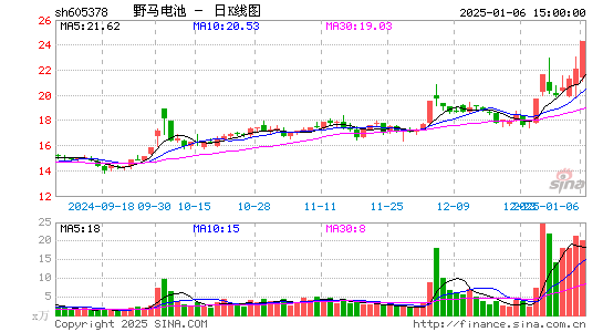 野马电池